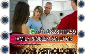 family problem solution +91-9828911259